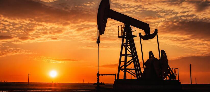Новак исключил возврат ОПЕК+ к сокращению добычи нефти Вице-премьер Александр Новак исключил возврат О...