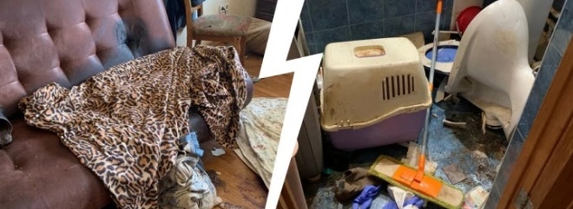 Супругов-зоозащитников нашли мертвыми в их квартире на улице Малышева в Екатеринбурге. Об этом сообщает портал E1.ru.