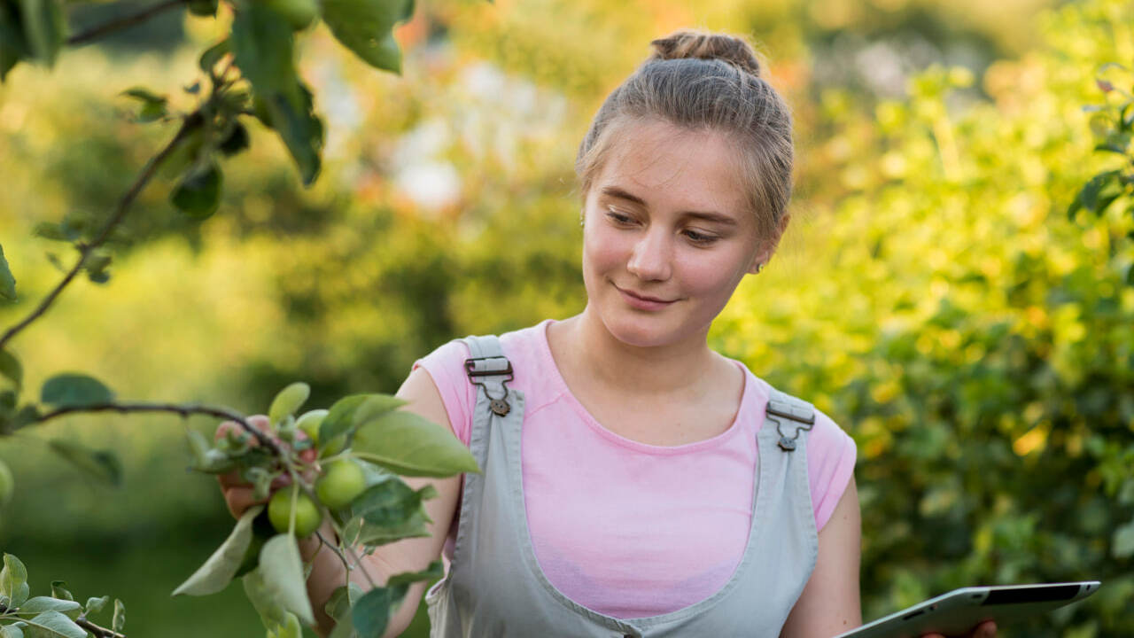 Мобильный оператор расширил покрытие и увеличил...