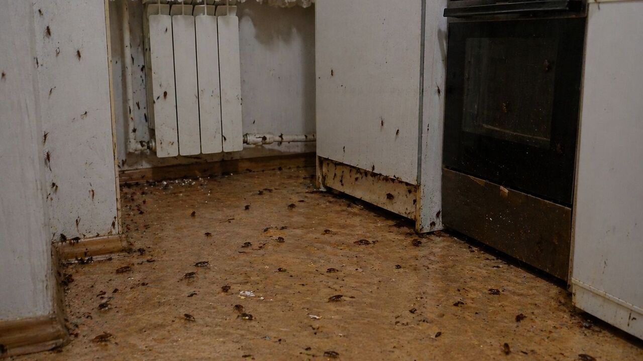 Жители дома 11/25 в Набережных Челнах пожаловал...