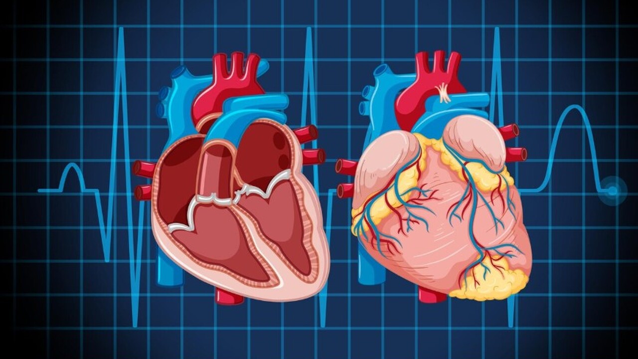 В журнале BMC Medicine были опубликованы резуль...