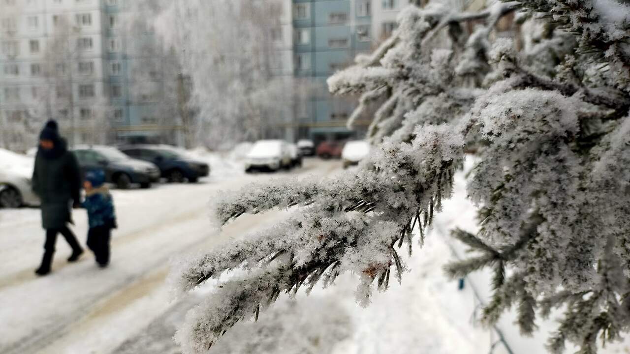 2026 год может стать для Козерогов редким перио...