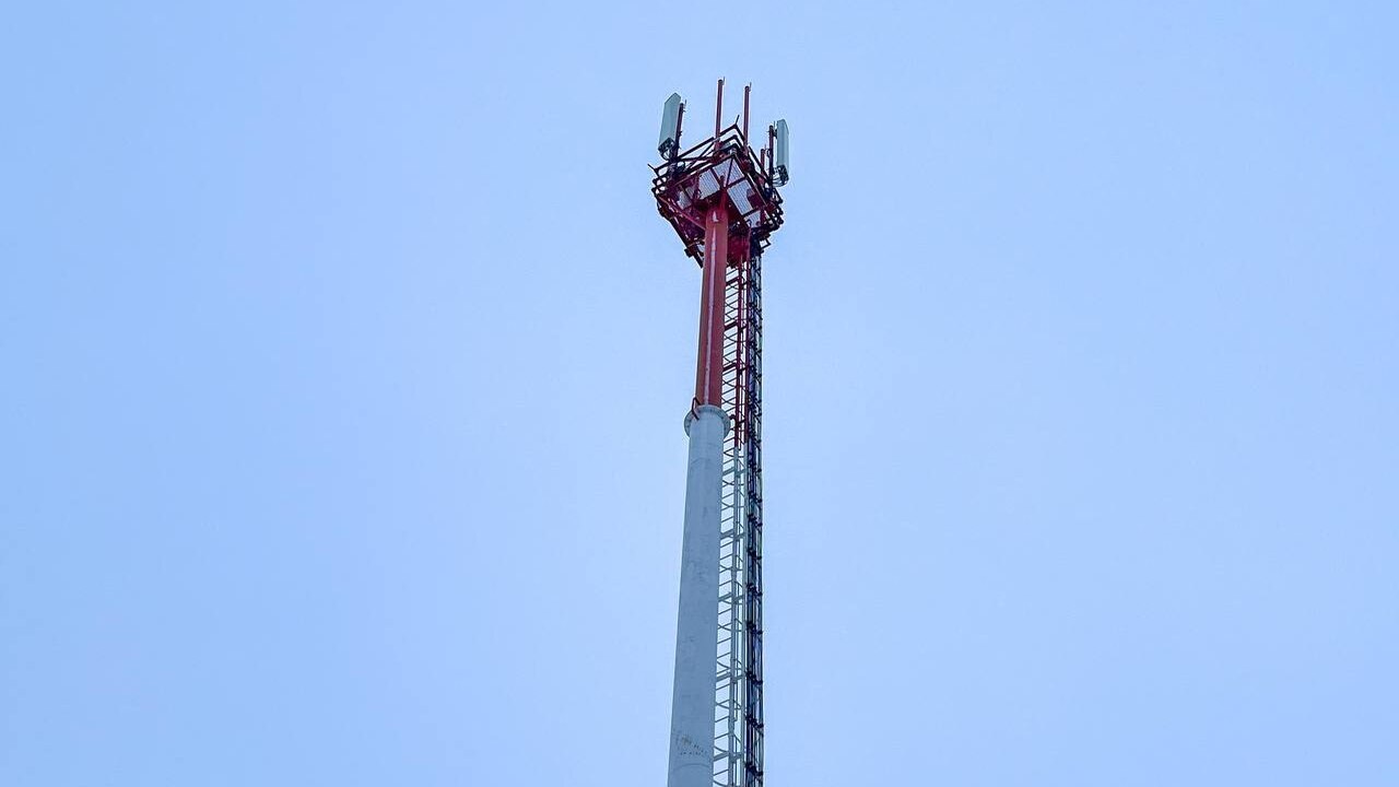 МТС, цифровая экосистема, провела рефарминг, ил...