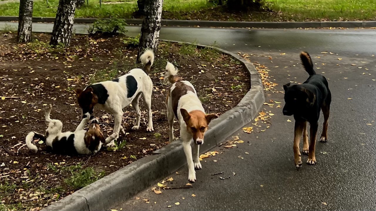 На аппаратном совещании мэр Набережных Челнов Н...