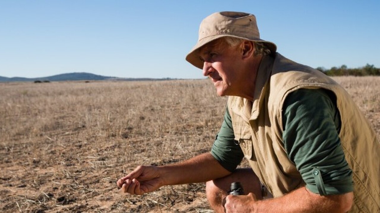Археологи из ЮАР и Швеции совершили значительно...