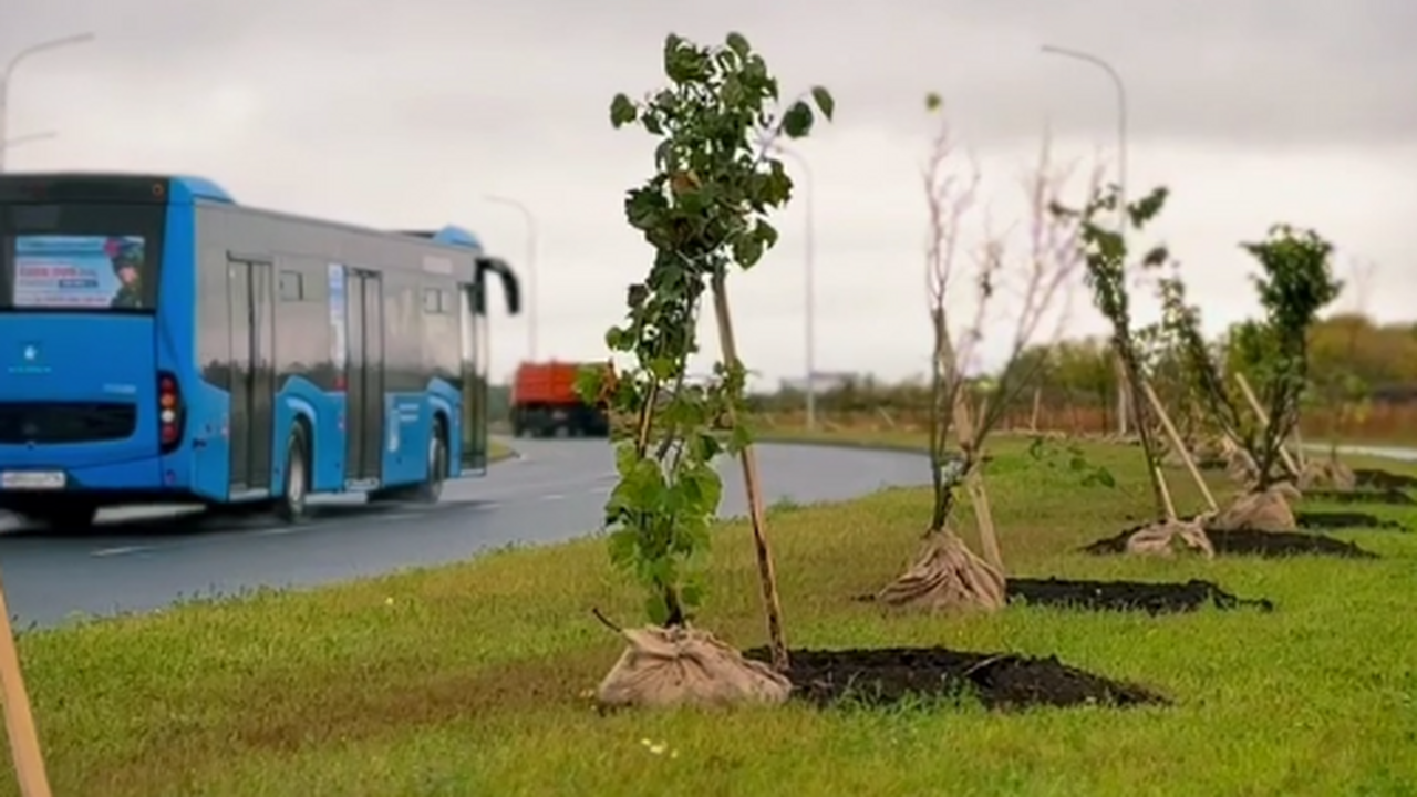 Недавно на Московском проспекте прошла замечате...