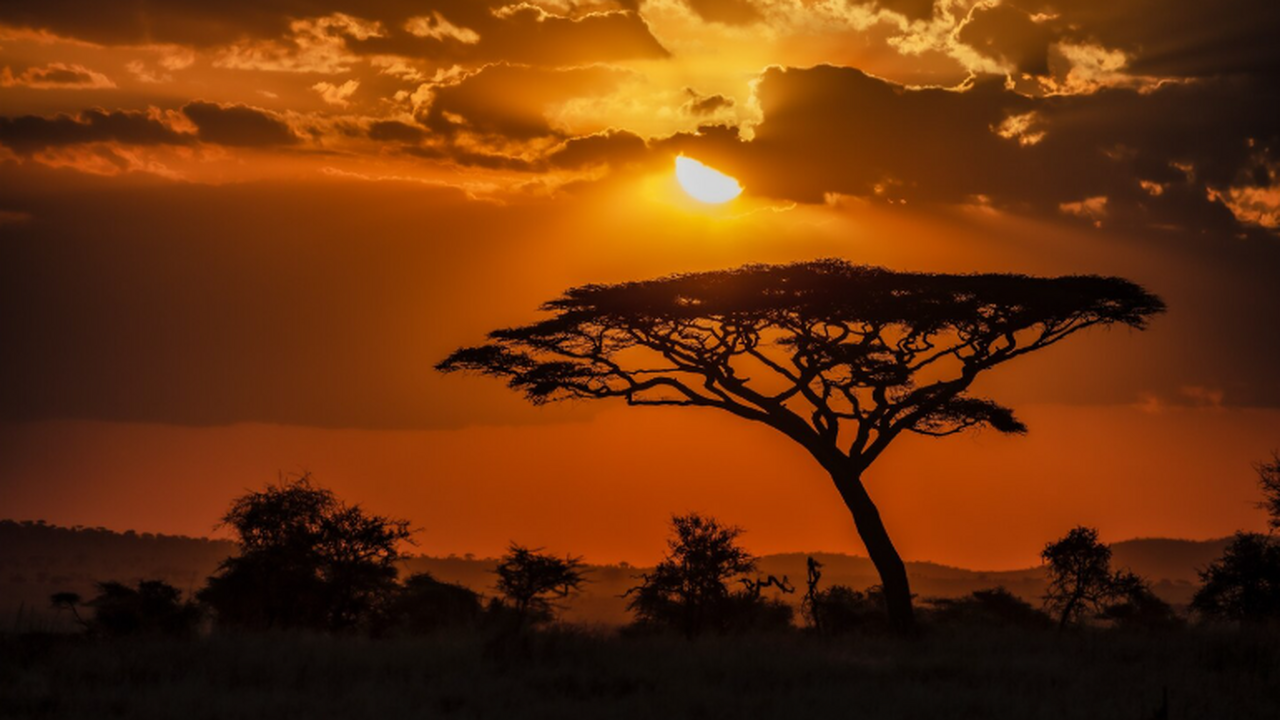 Геологические исследования показали значительно...