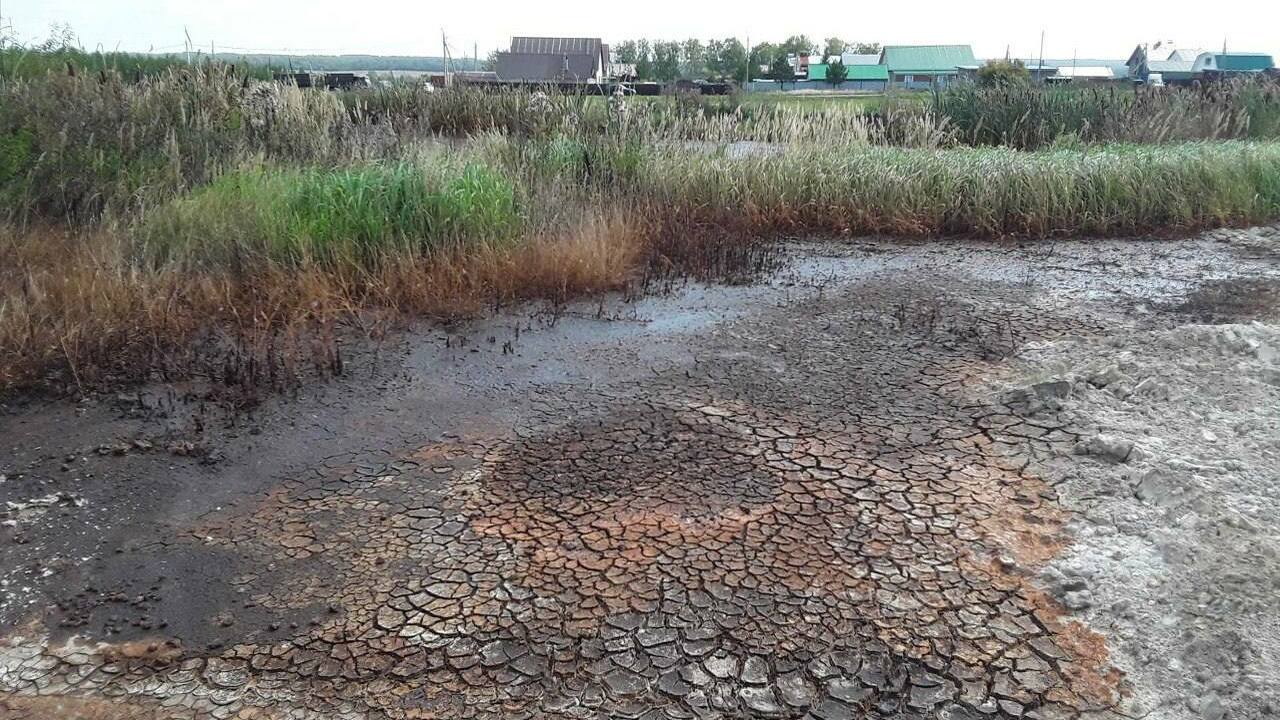 Масляный завод "Вивид" в Бугульме стал причиной...