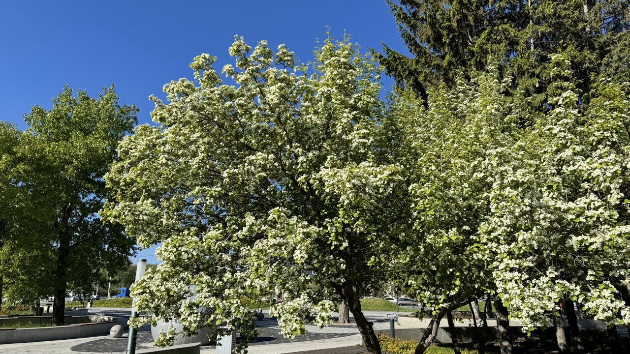 Март 2026 года может стать для Козерогов тем са...