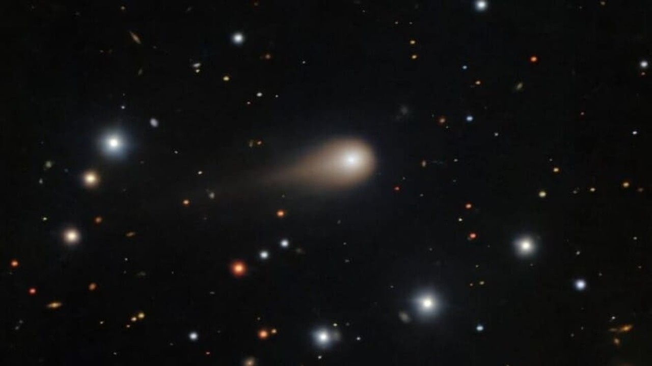 Ави Леб, астрофизик Гарвардского университета, ...