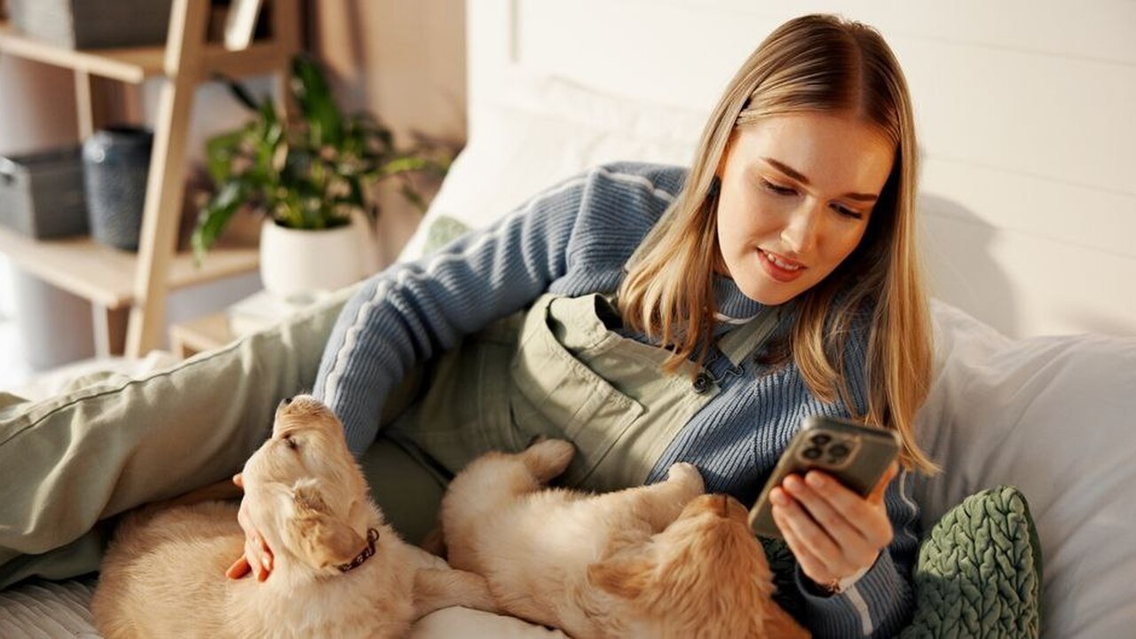 МТС, цифровая экосистема, запустила нового ИИ-а...