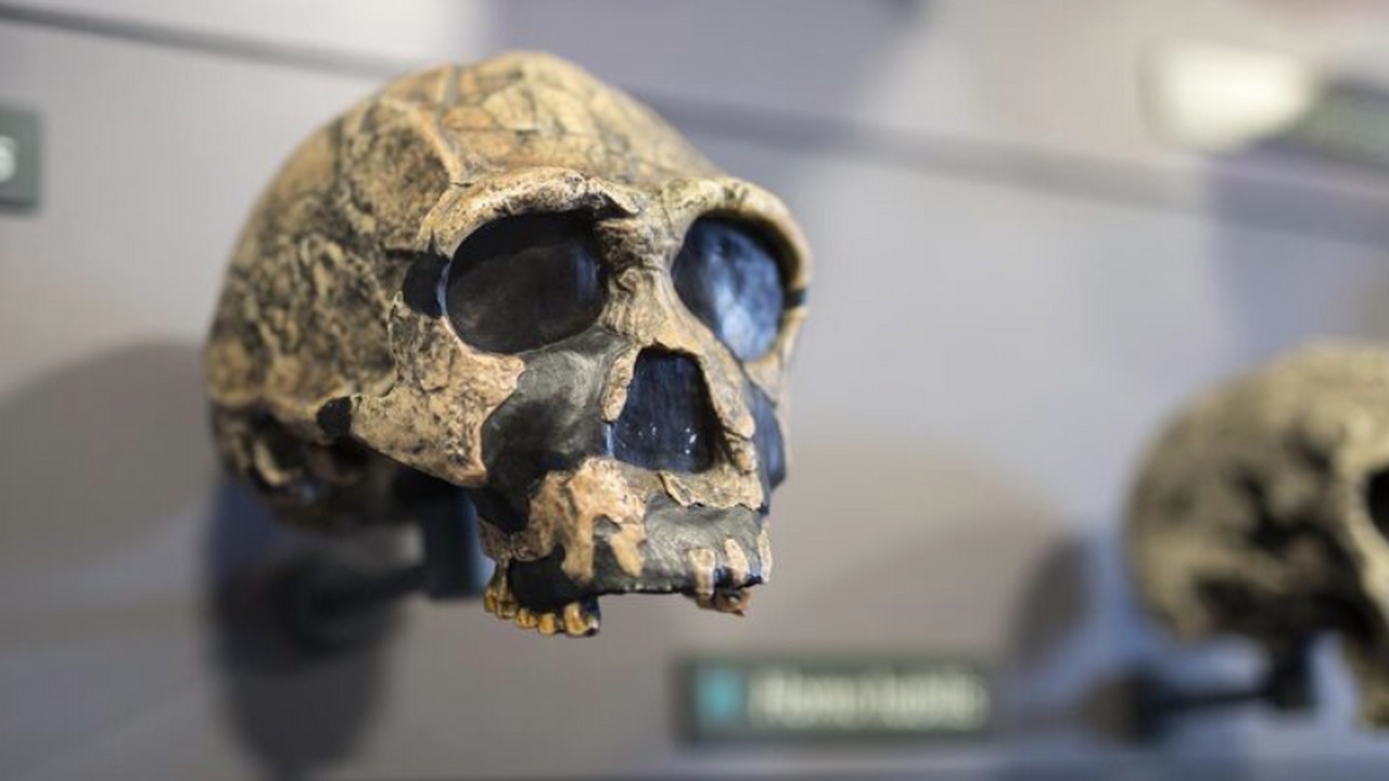 Опыты прошли, останки сохранили: медики оставили кости в колодце Ричмонда В 1994 году в ходе строительных работ на террит...