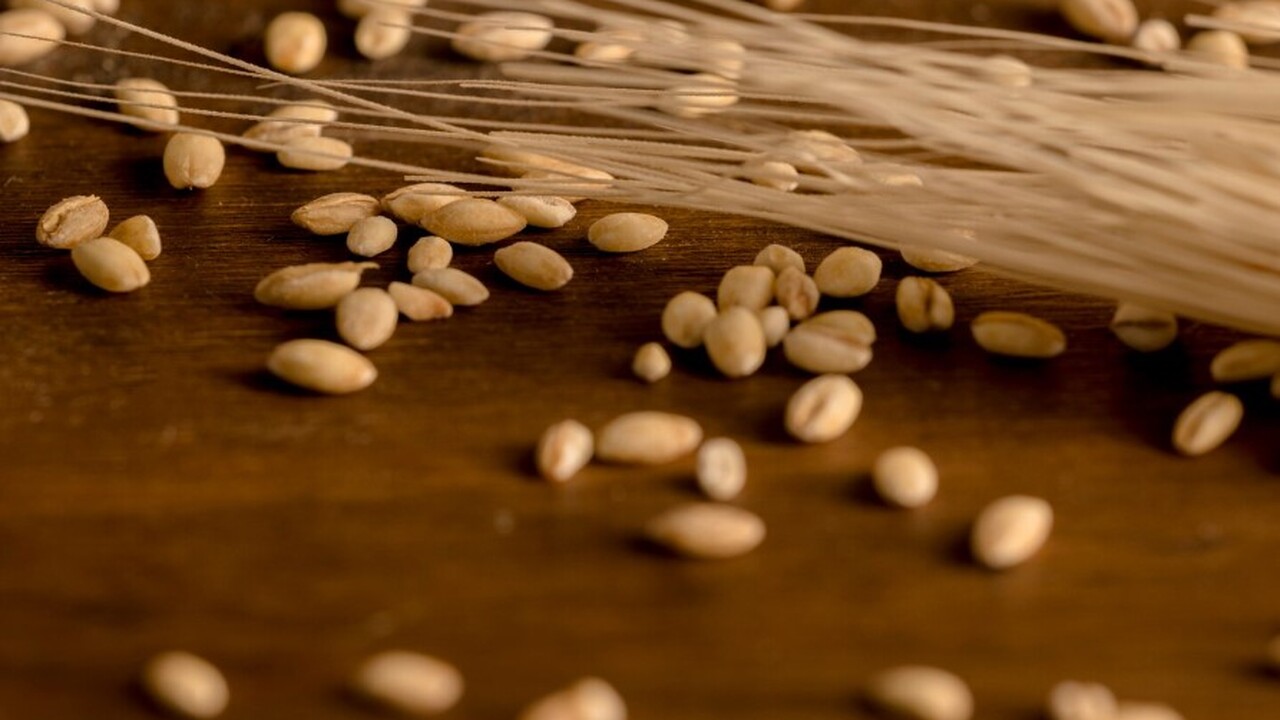 В рамках междисциплинарного исследования, нацел...