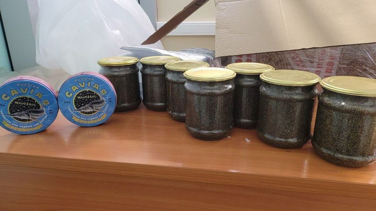 Россиянину за попытку вывезти икру в Дубай грозит штраф до 1 млн руб. Сотрудники Домодедовской таможни остановили 22-...