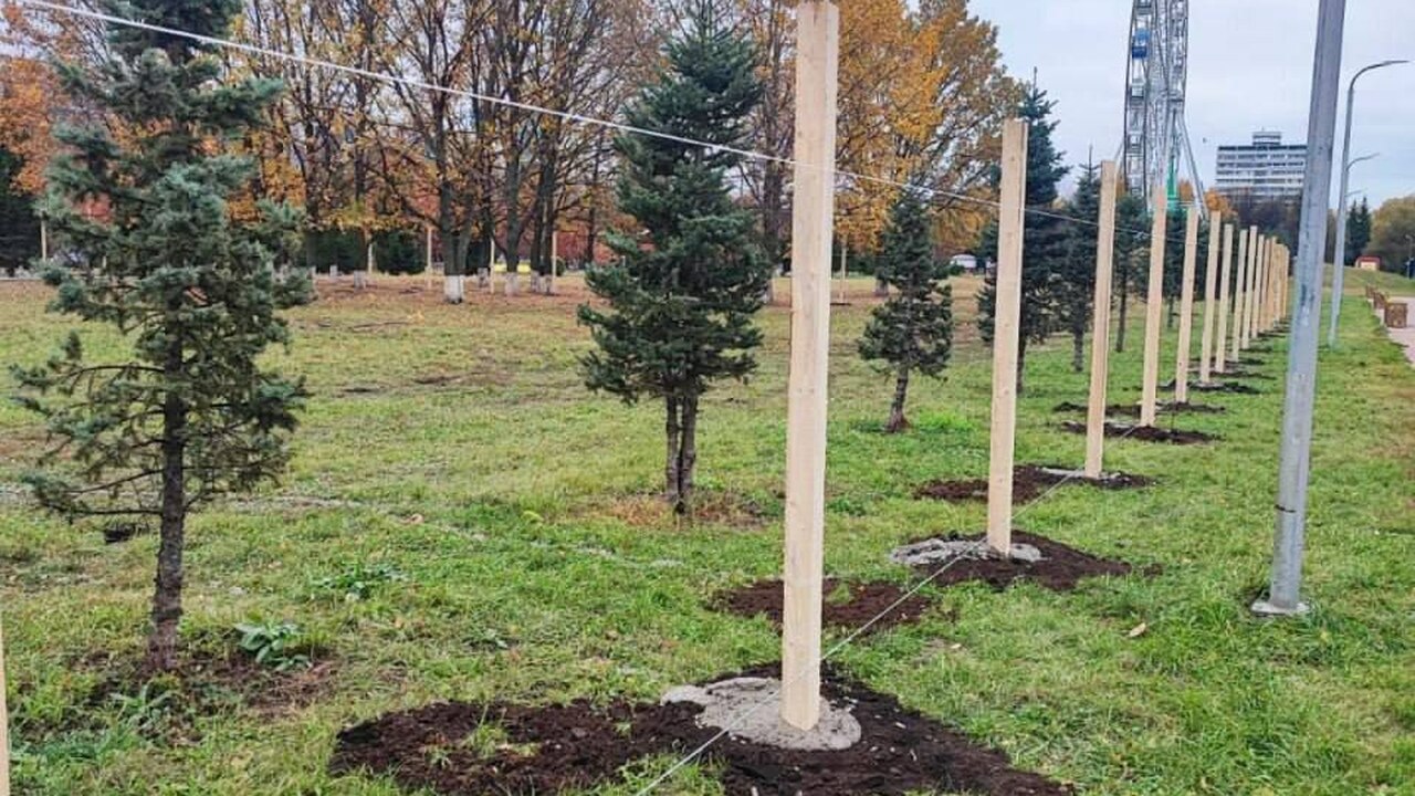 В Парке Победы Набережных Челнов вскоре появитс...