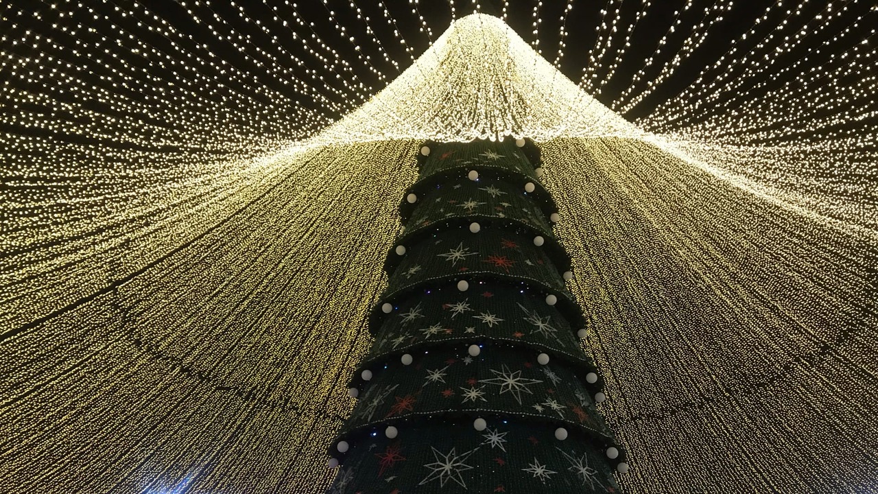 Правильно распределённый отдых помогает не толь...