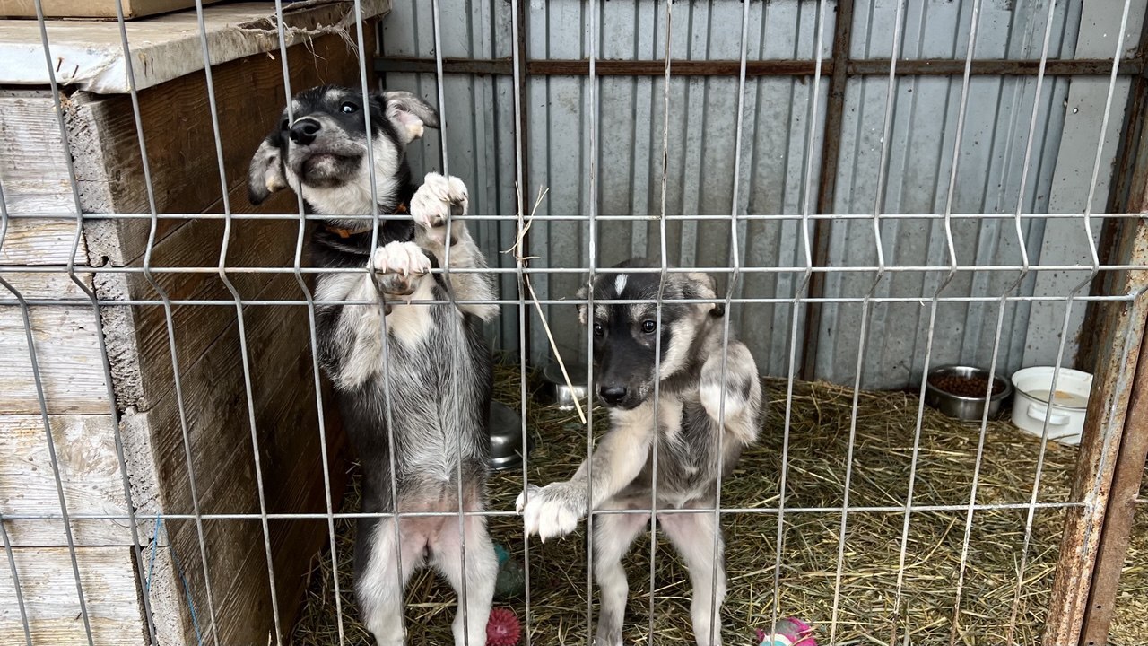 В Татарстане обсуждают новую меру — введение ре...