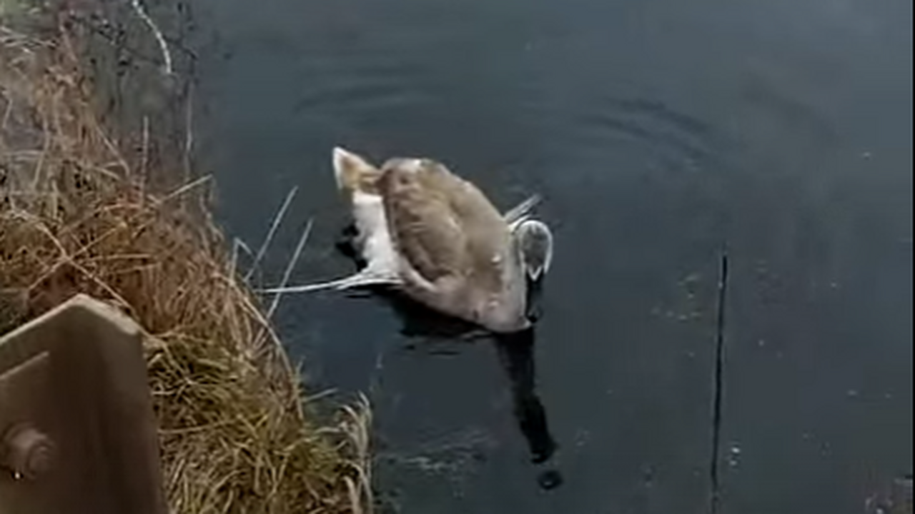 В живописном селе Калмаш, что в Тукаевском райо...