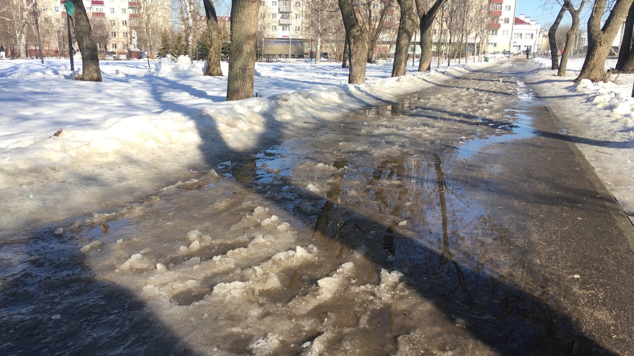 Зима 2026 года в Москве завершилась с аномальны...