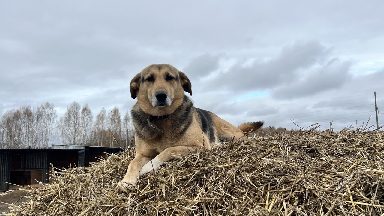 В Тукаевском районе за первый квартал года спец...
