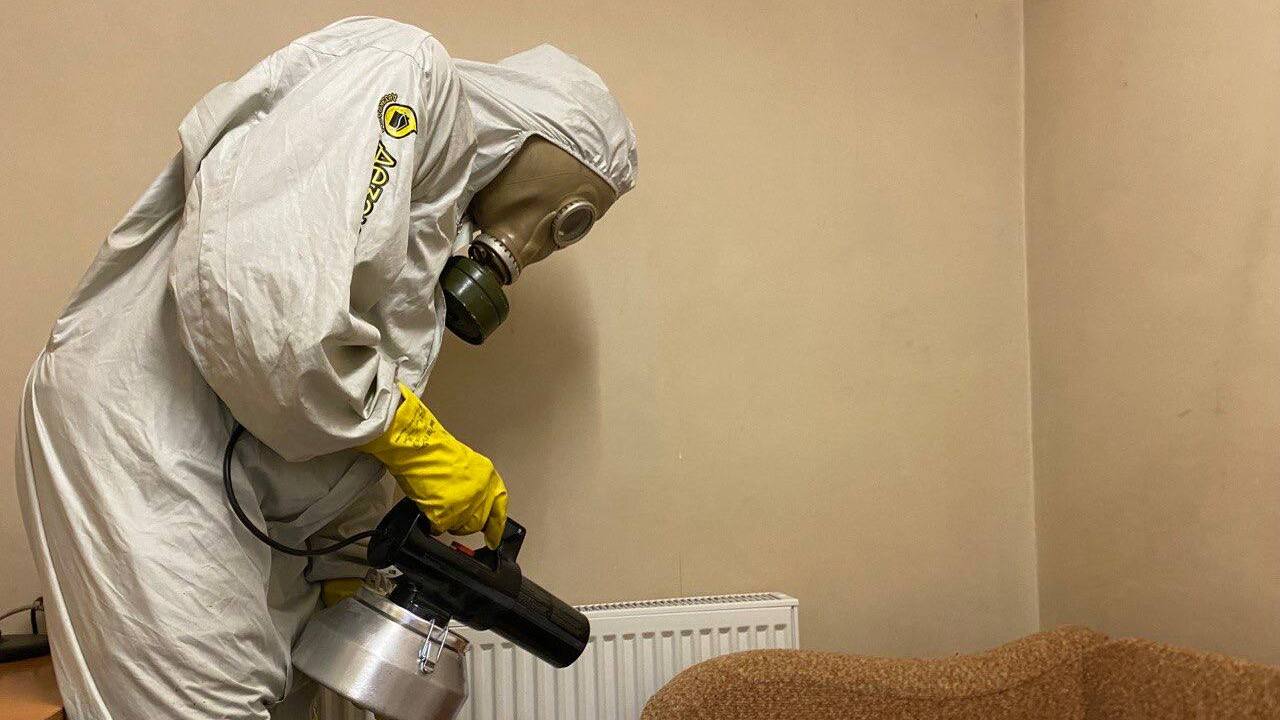 История основателя «ДезЭкоДом» в Набережных Чел...