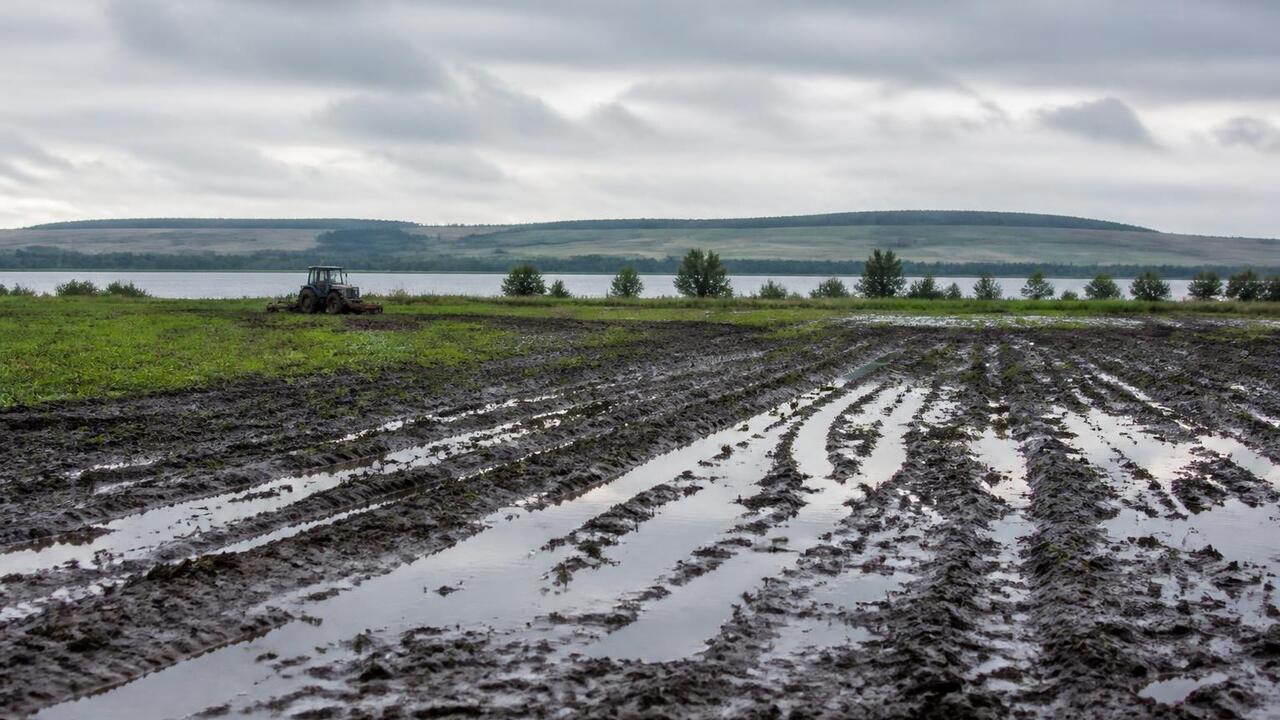 Почва в четырёх районах Татарстана переувлажнилась после июльских ливней После июльских ливней в Елабуге, Мензелинске, А...