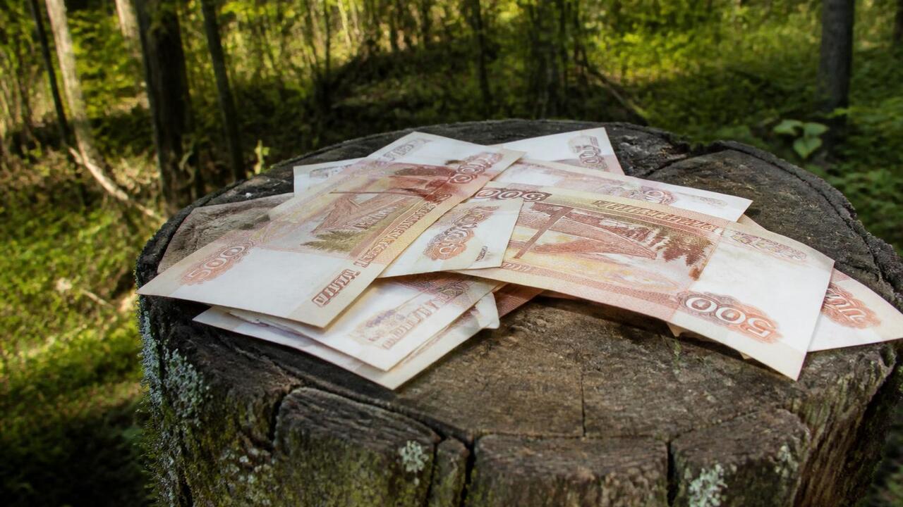 500 тысяч рублей получат молодые специалисты лесной отрасли Татарстана Молодым специалистам лесной отрасли Татарстана ...
