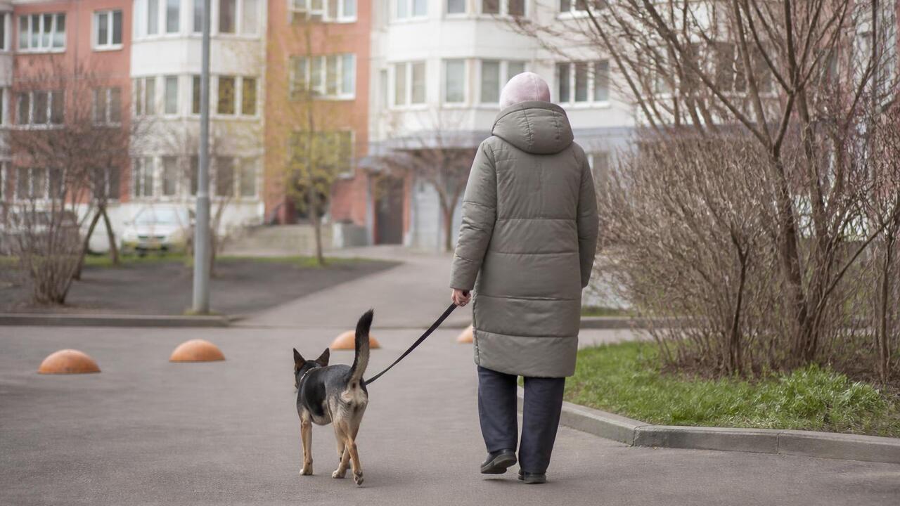 В Татарстане утвердили новые правила выгула собак и содержания питомцев Кабмин Татарстана ужесточил правила содержания ...
