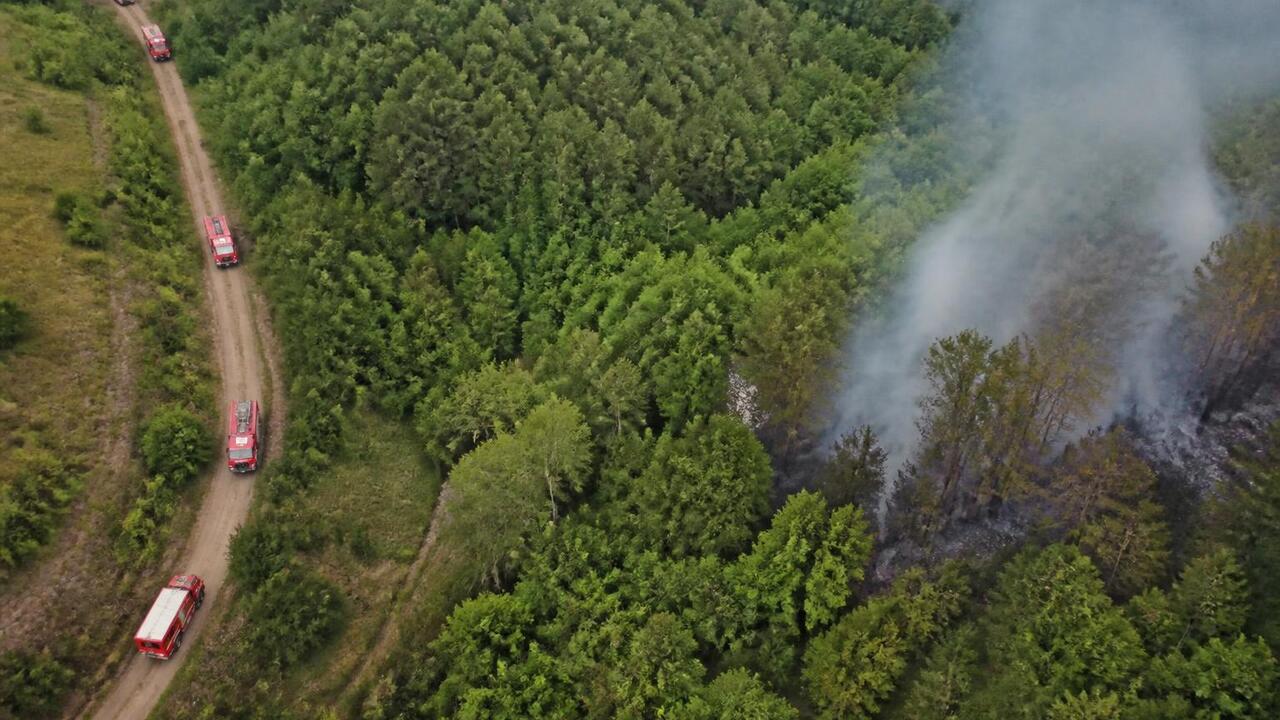 В Татарстане с начала года потушили 224 пожара у границ лесов В Татарстане с начала года ликвидировано 224 во...