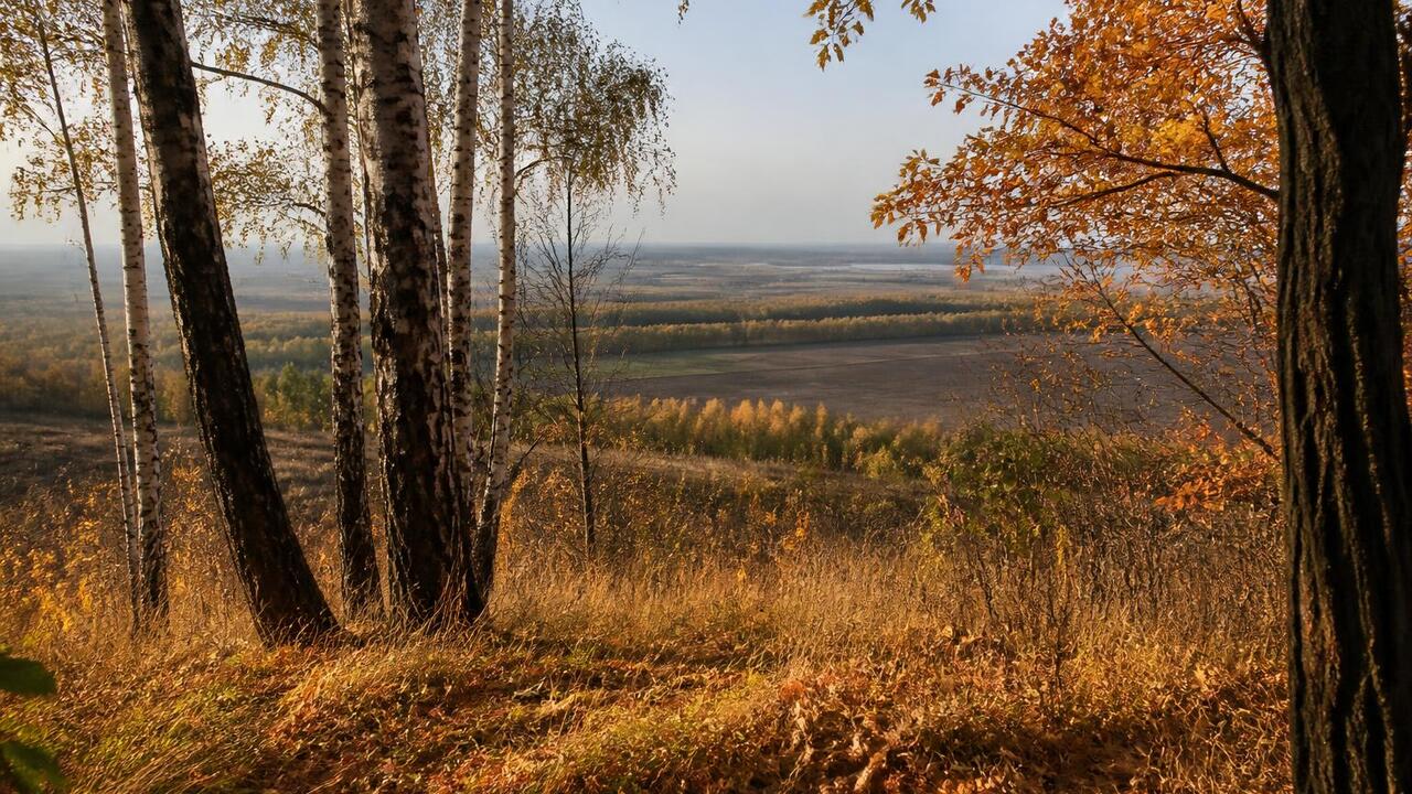 В Татарстане зафиксировано 372 термические точк...