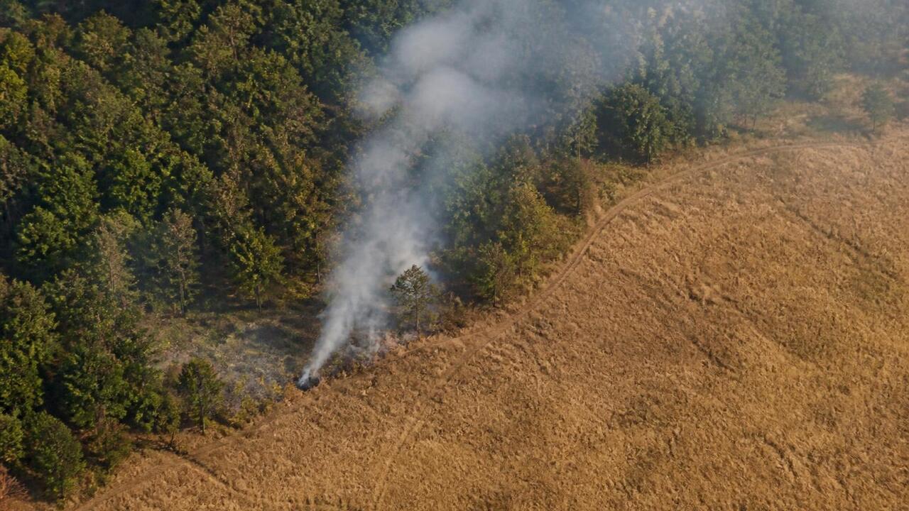 В Татарстане назвали районы с наибольшим числом возгораний у леса С начала пожароопасного сезона в Татарстане у л...