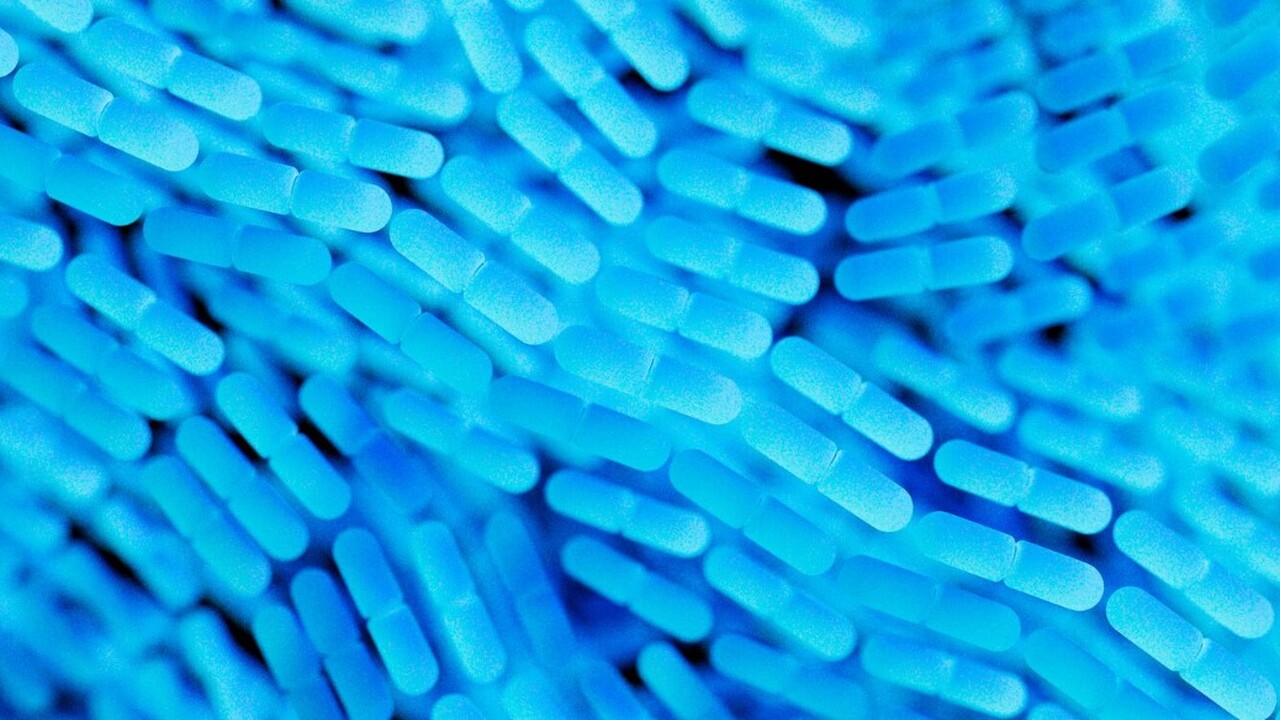 Учёные из Сеченовского университета выяснили, ч...