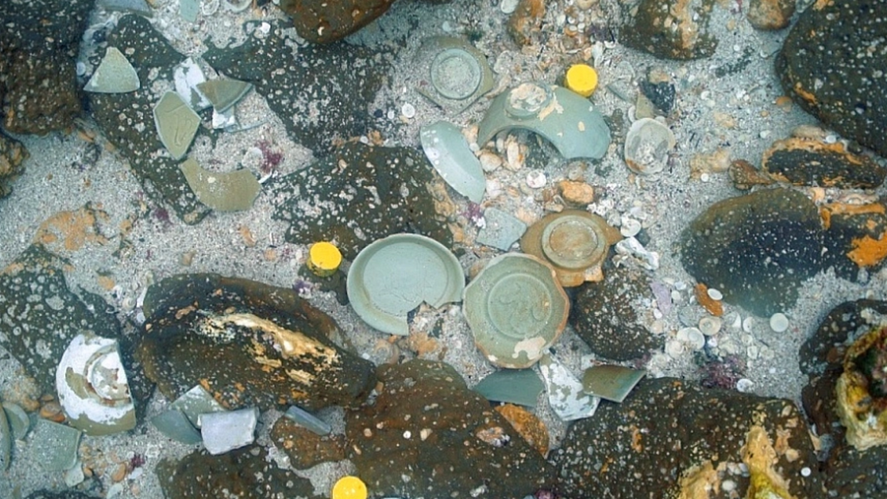 На Тэанском побережье Южной Кореи со дна Желтог...