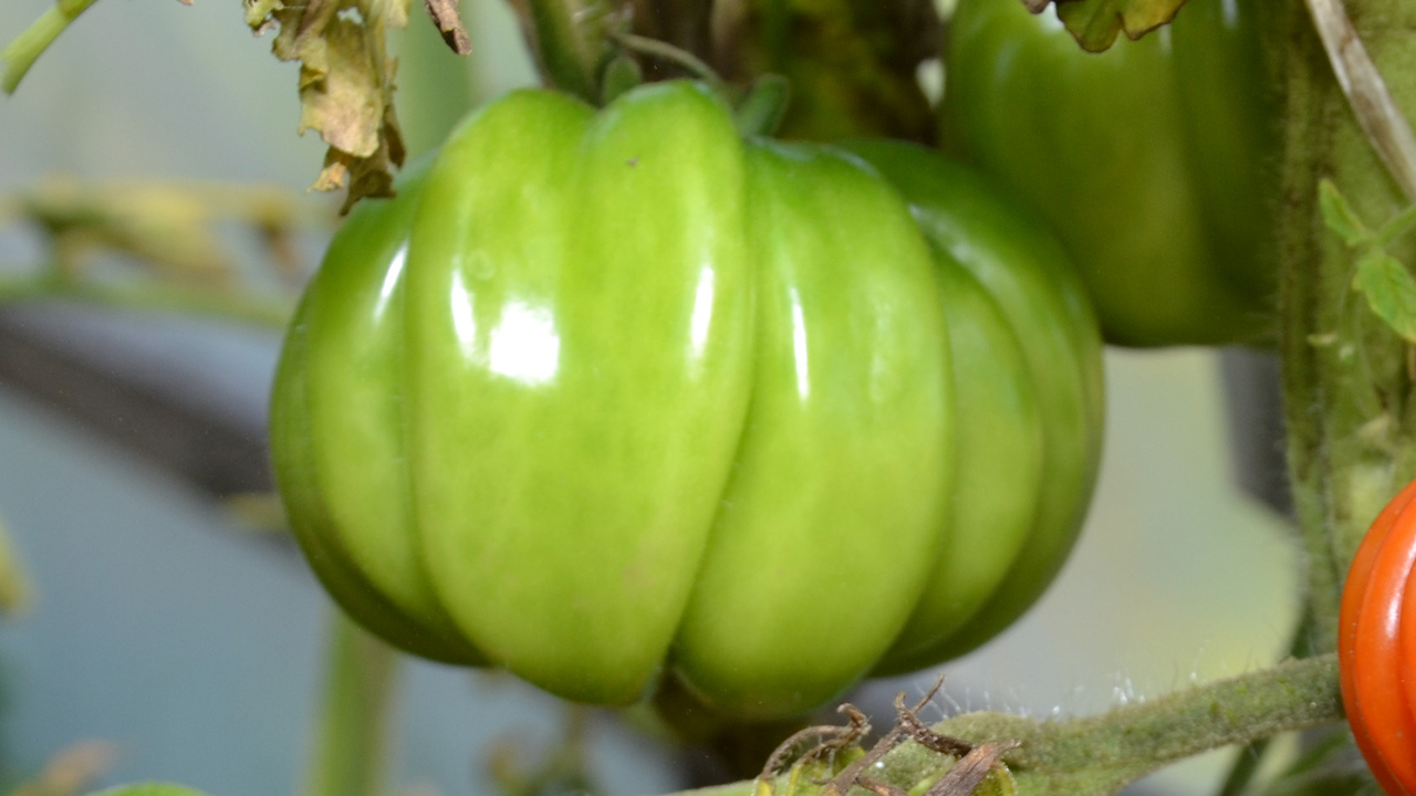 Осень — самое время для домашних заготовок, и м...