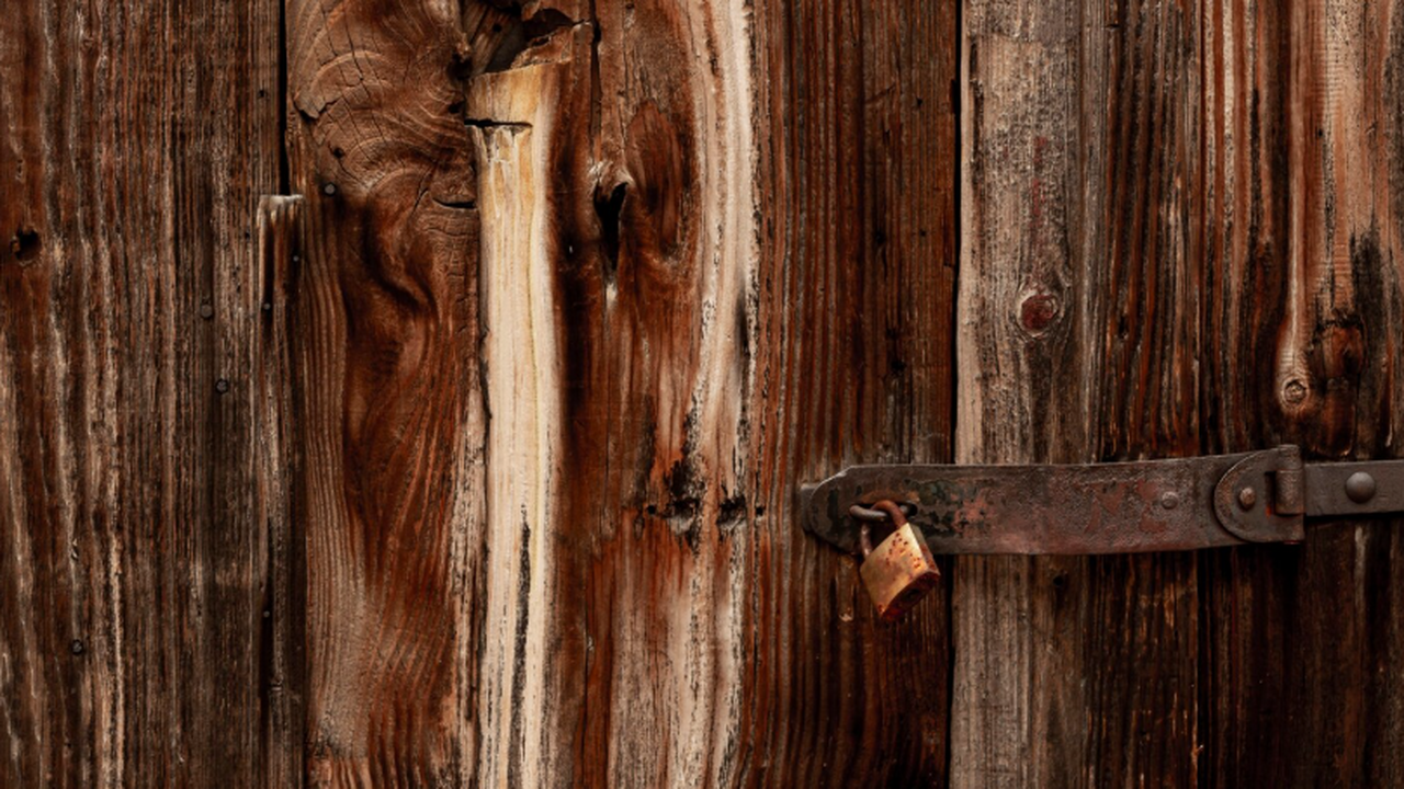 В Эстонии учёные провели детальное исследование...