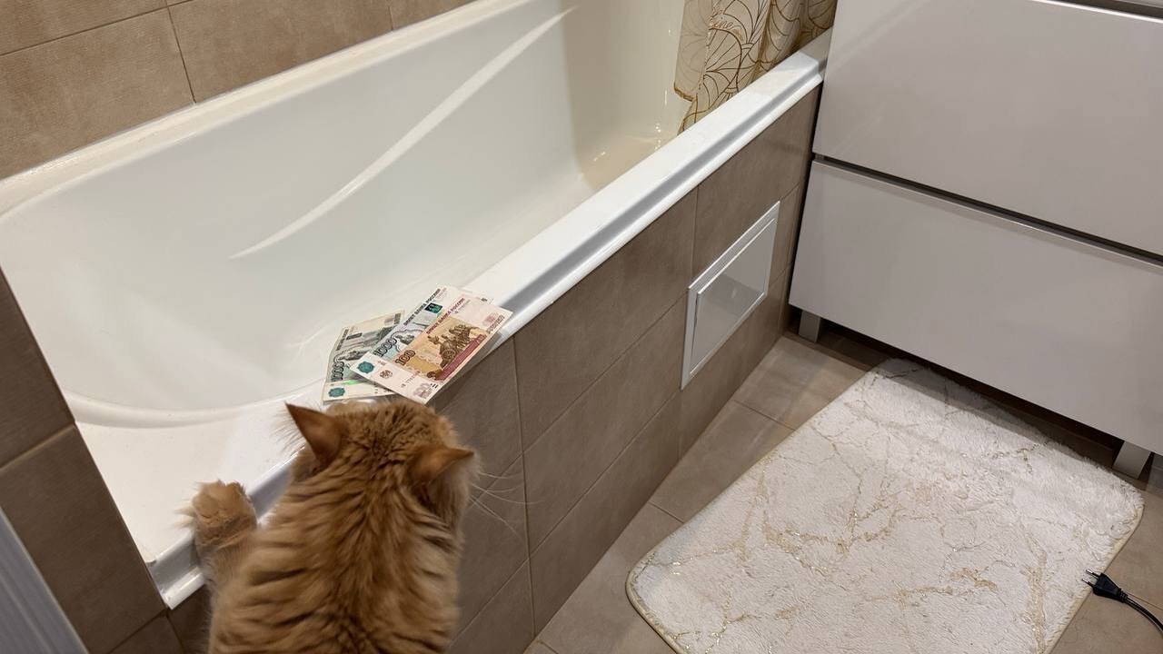 С 1 мая вводятся новые правила расчета ЖКХ по счетчикам: что изменится и почему счета могут вырасти С мая в России вступают в силу обновлённые прав...