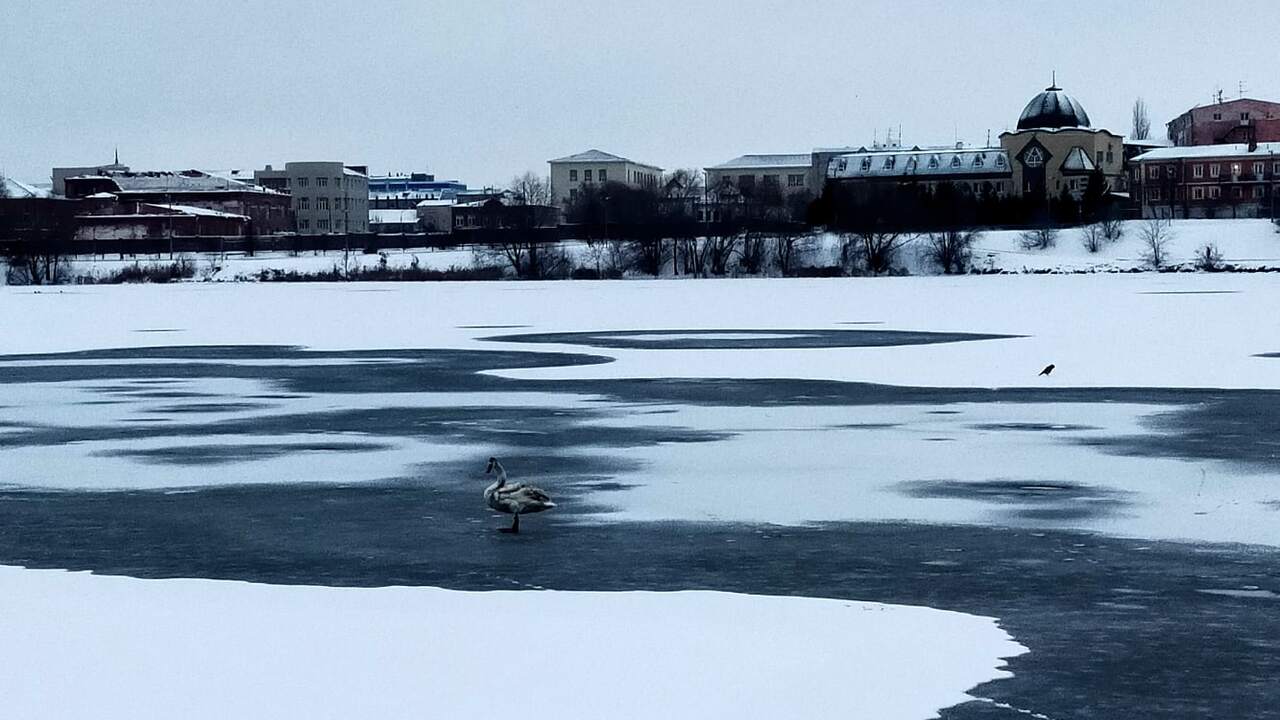 Погода снова ломает логику: сезон будет теплее нормы, хотя россияне почувствуют больше холода, чем год назад Грядущая зима в России обещает стать заметно хо...