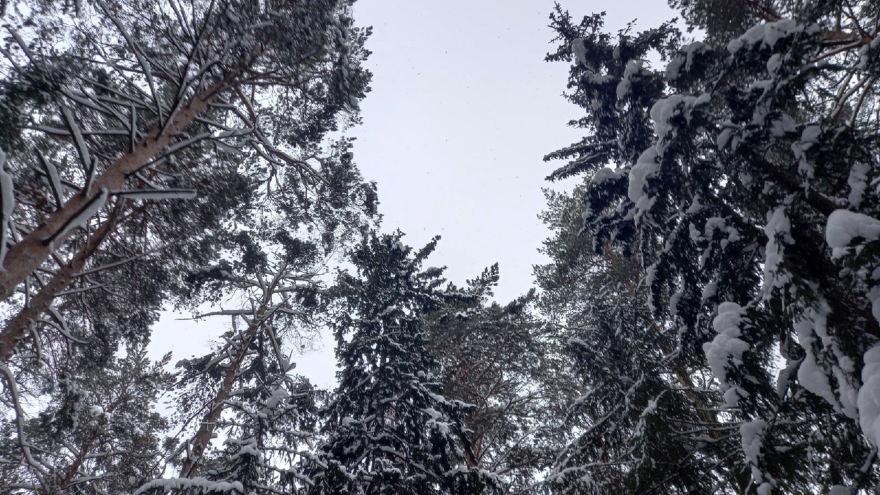 В Татарстане и Казани аномально теплые температ...