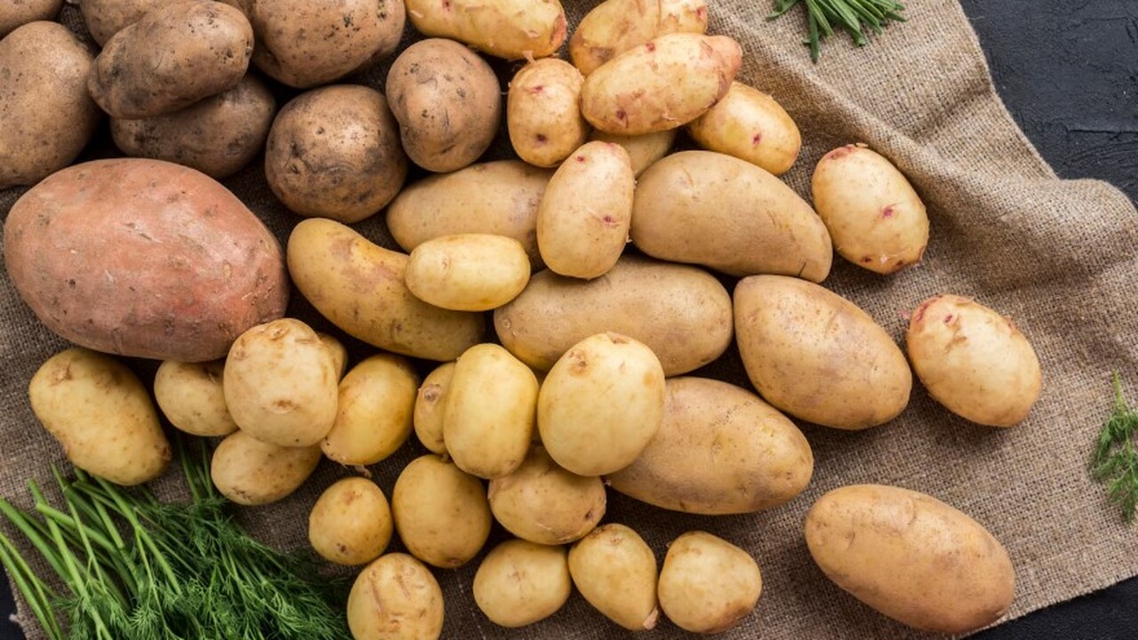 Учёные из института в посёлке Большие Вязёмы со...