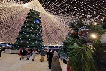 Звёзды сделали выбор: четыре знака зодиака окажутся в центре событий 2026 года