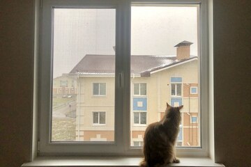 Жизнь подбросит редкий шанс именно сейчас: кому июнь принесет возможности о которых давно мечтали