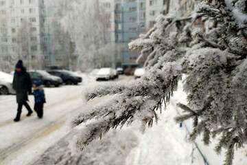 Новогодние праздники окажутся ледяными: синоптики опубликовали экстремальный прогноз на 2026 год