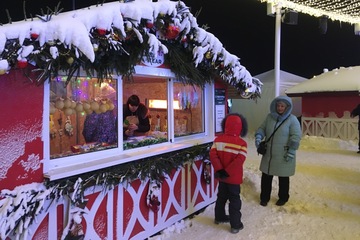 Вильфанд поразил новогодним прогнозом: «другого не будет, ждите снег» теперь касается всех регионов страны