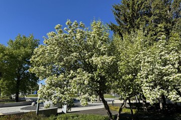 Месяц переломных перемен уже близко: астролог предупредила о судьбоносных испытаниях для одного знака в марте 2026 года