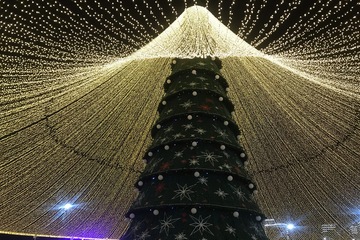 Сердце или работа на первом месте: гороскоп на 2026 год удивит многих