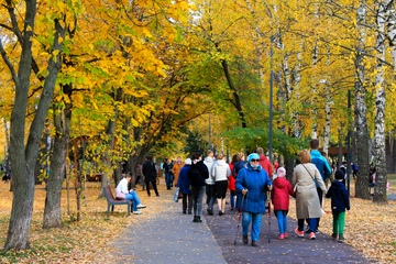 Пенсионерам после 60 лет положены дополнительные льготы: о каких выплатах и помощи важно знать