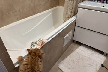 С 1 мая вводятся новые правила расчета ЖКХ по счетчикам: что изменится и почему счета могут вырасти