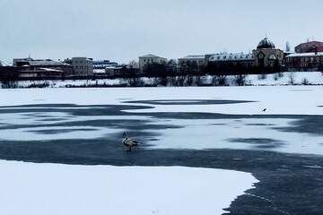 Погода снова ломает логику: сезон будет теплее нормы, хотя россияне почувствуют больше холода, чем год назад