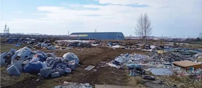 В Набережных Челнах обнаружили крупную несанкци...