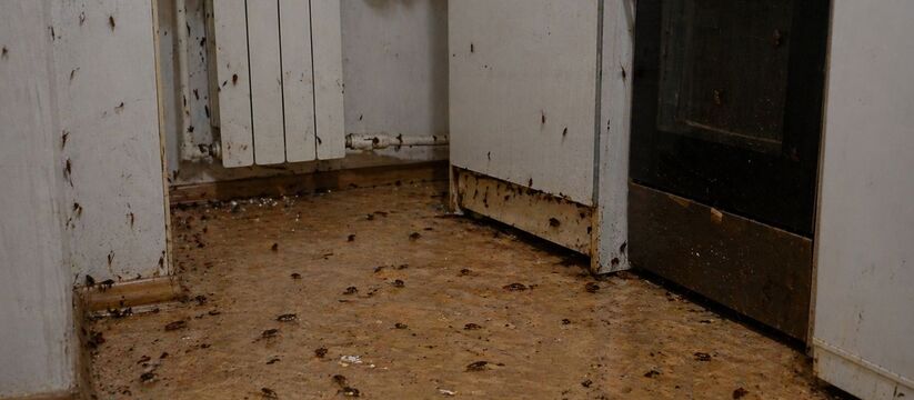 Жители дома 11/25 в Набережных Челнах пожаловал...